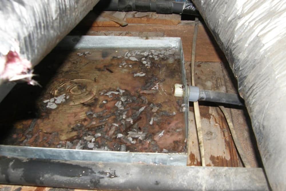Why is my Air Conditioner Leaking Water? Alliance Climate Control