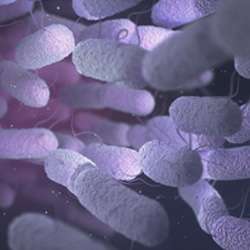 step-5 Killing pathogens, indoor unit is sprayed with Sanisise