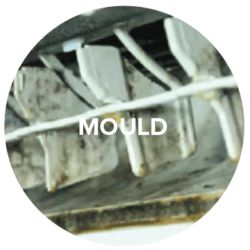 mould-blog-1 mould-blog-1