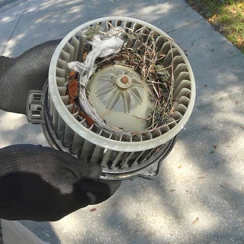ac-blower-dirty-mouse-nest-air-conditioner-pr3n8myjx6f3yxqhw9070fve5sq4xcjxirz6baxq4o.jpeg