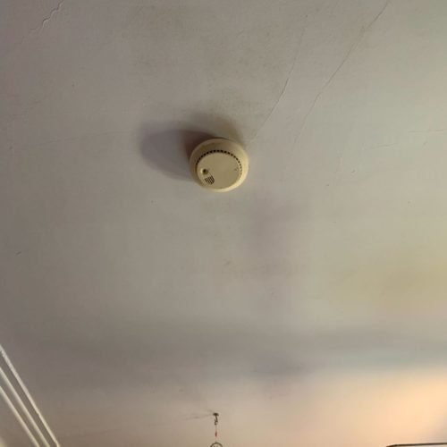 image_from_ios-14-pl9jj512975cfp8fody9j98n1apw2f8ob3buwh7xxk.jpg