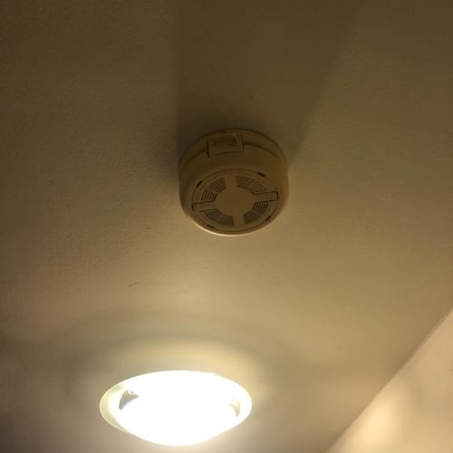 image_from_ios-5-pl9jh4nhmye9lq5kf0nzp9i5ammmlq9cd53gy6798o.jpg