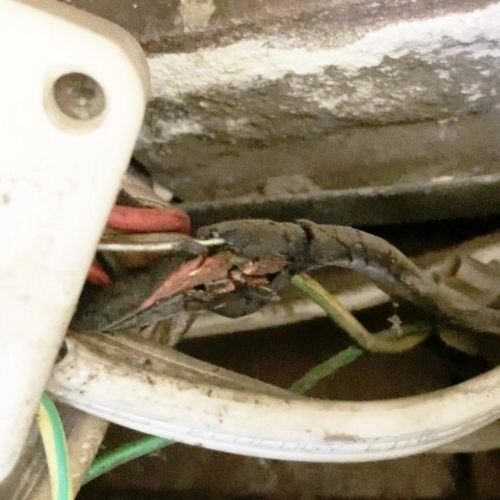 old-wiring-broken-and-exposed-wire-pl9j5wgw070yxegnz5yex3hxuxysnvorhkkol6ujk8.jpg